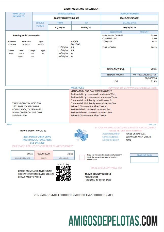 Profesional AS Texas Dasor Management and Investasi Tagihan Tagihan templat in Word nd PDF format