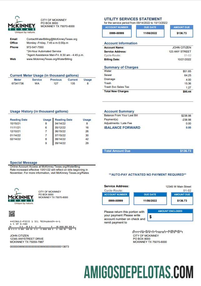 Profesional AS Texas McKinney Tagihan Tagihan templat in Word and PDF format