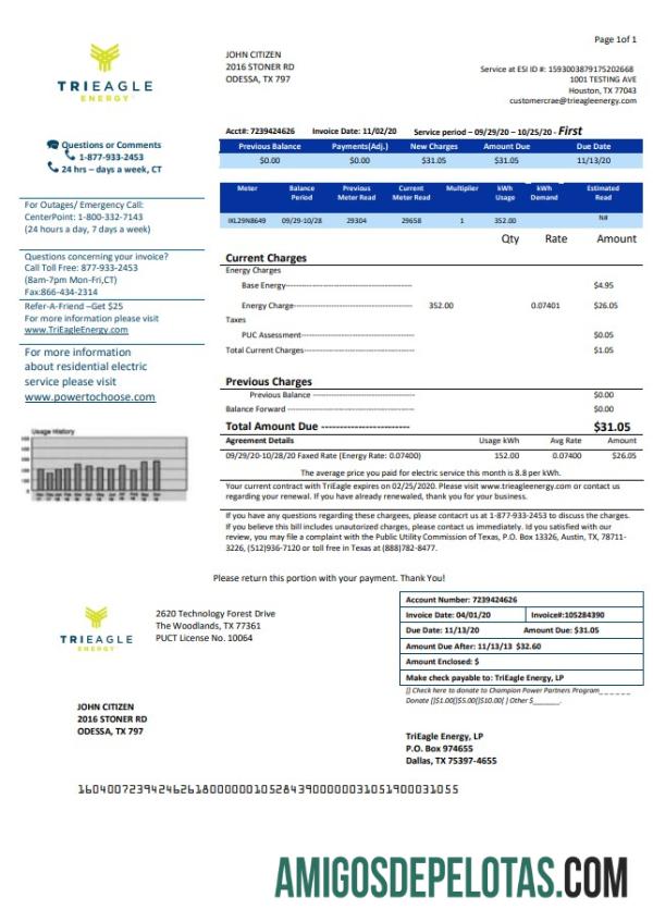 Realistis AS Texas TriEagle Tagihan Tagihan templat in Word and PDF (.doc and .PDF) format