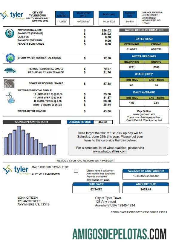 Profesional AS Tyler Technologies Tagihan Tagihan templat in Word and PDF format