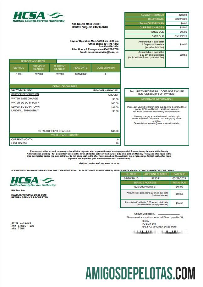Realistis AS Virginia HCSA Tagihan Tagihan templat in Word and PDF format