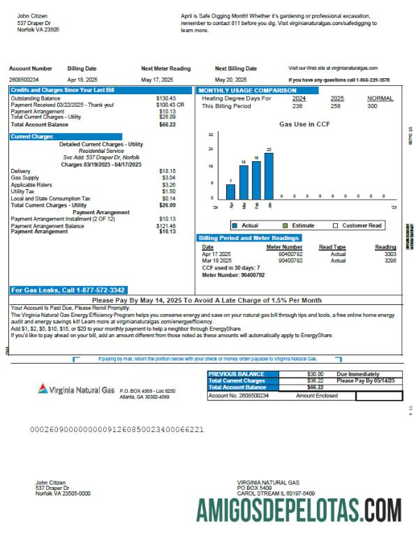 Profesional AS Virginia Natural Gas Tagihan Tagihan templat in Word and PDF format