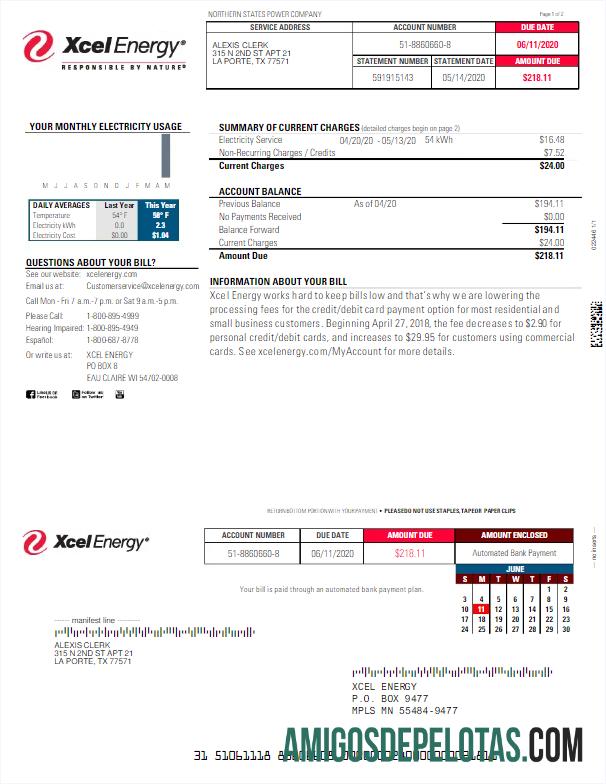 Profesional AS XCEL ENERGY Tagihan Tagihan Word and PDF templat