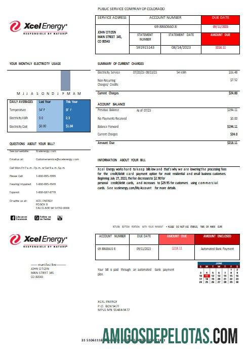 AS XcelEnergy electric Tagihan Tagihan Word and PDF format sampel