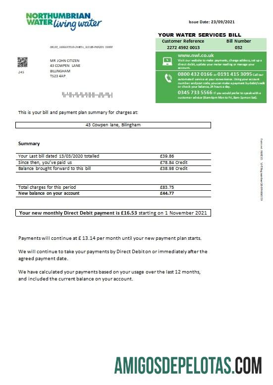 Profesional Inggris Raya Northumbrian Air Tagihan Tagihan templat in Word and PDF format, versi 1